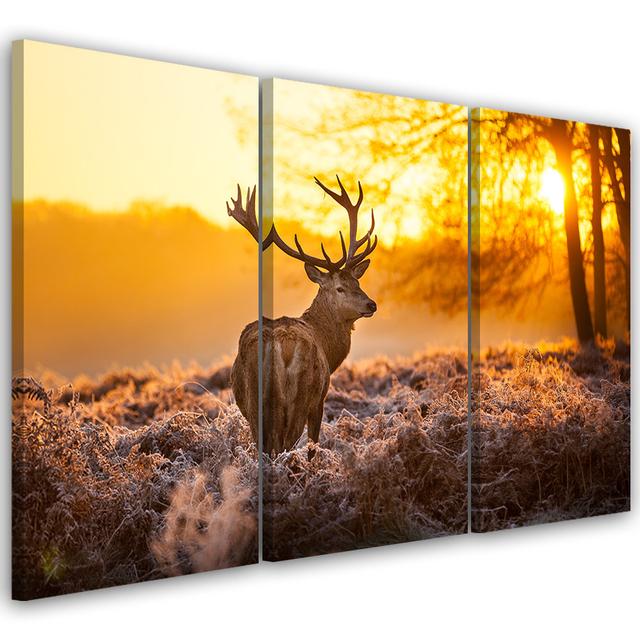 Canvas Print Deer Forest Sunset Union Rustic Size: 60cm H x 120cm W x 2cm D on Productcaster.