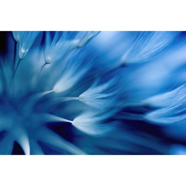 Blurred Flower by Tunatura - Wrapped Canvas Photograph Latitude Run Size: 20cm H x 30cm W on Productcaster.