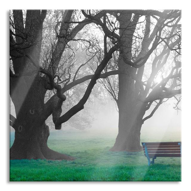 Lonely Bench In The Fog - No Frame Print on Glass Alpen Home Size: 60cm H x 60cm W x 0.4cm D on Productcaster.