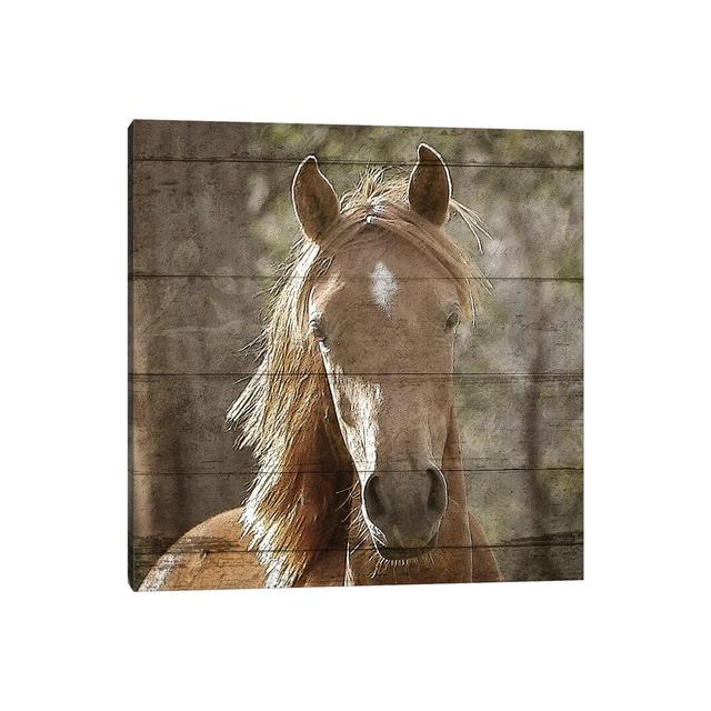 Farm Life VI by Kimberly Allen - Wrapped Canvas Gallery-Wrapped Canvas Giclée Natur Pur on Productcaster.