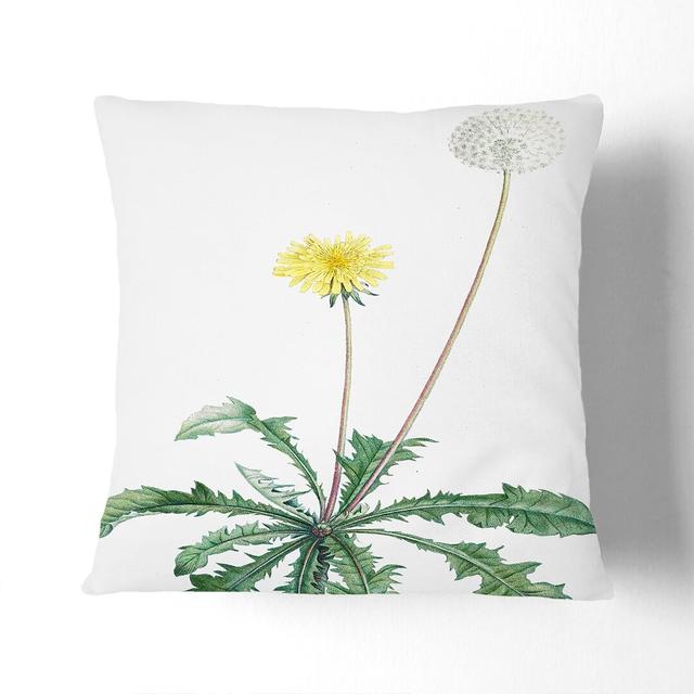 Blooming Dandelion by Pierre-Joseph Redoute Cushion with Filling East Urban Home Size: 40cm H x 40cm W x 15cm D, Backing Colour: Black on Productcaster.