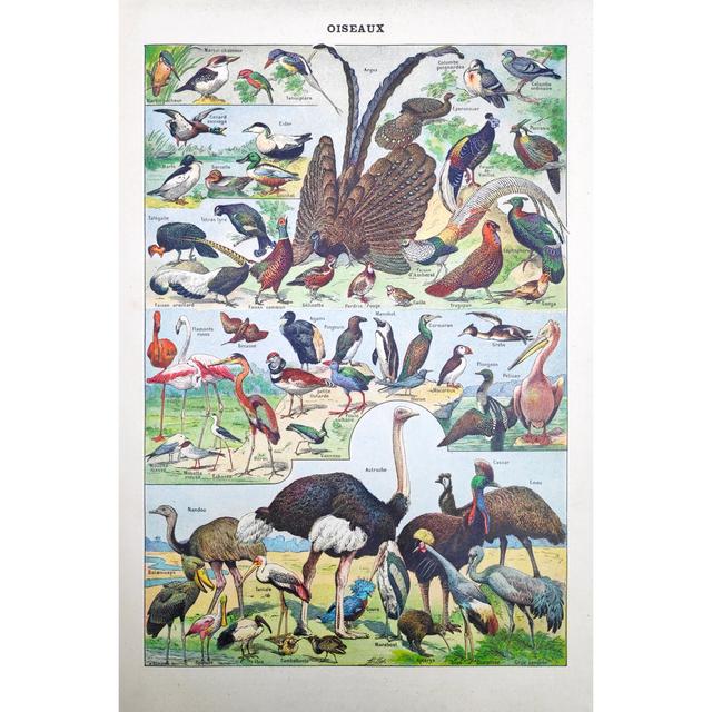 Illustration About Birds by Gwengoat - Wrapped Canvas Graphic Art Brambly Cottage Size: 122cm H x 81cm W on Productcaster.