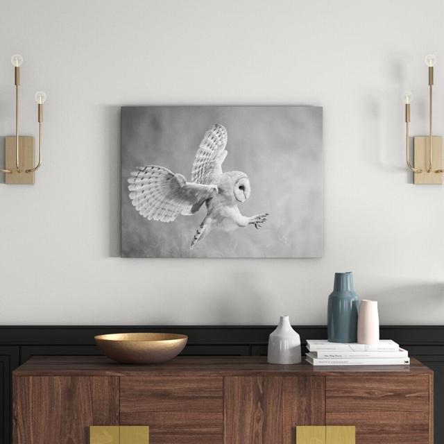 Leinwandbild „Fliegende Weiße Eule bei der Jagd“, Fotodruck East Urban Home Größe: 60 cm H x 80 cm B on Productcaster.