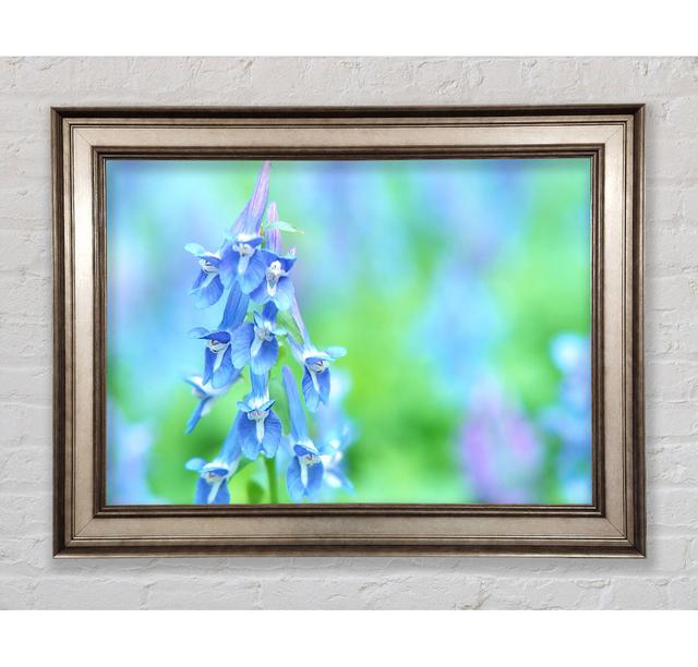 Soft Focus Small Flowers - Picture Frame Photograph on Canvas Ebern Designs Size: 21cm H x 29.7cm W x 8cm D, Format: Antique Silver Framed Paper on Productcaster.