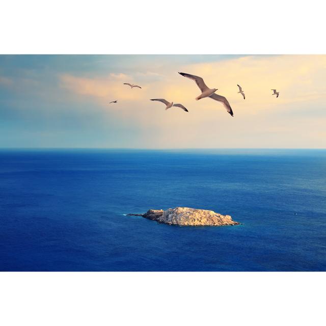 Desert Island by Borchee - No Frame Art Prints on Canvas Beachcrest Home Size: 20cm H x 30cm W on Productcaster.