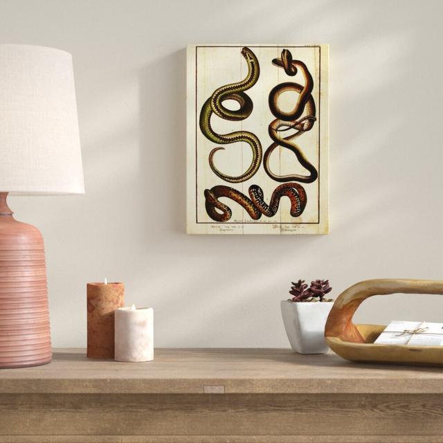 Snakes II - Wrapped Canvas Graphic Art Print East Urban Home Size: 60.96cm H x 45.72cm W x 4cm D on Productcaster.