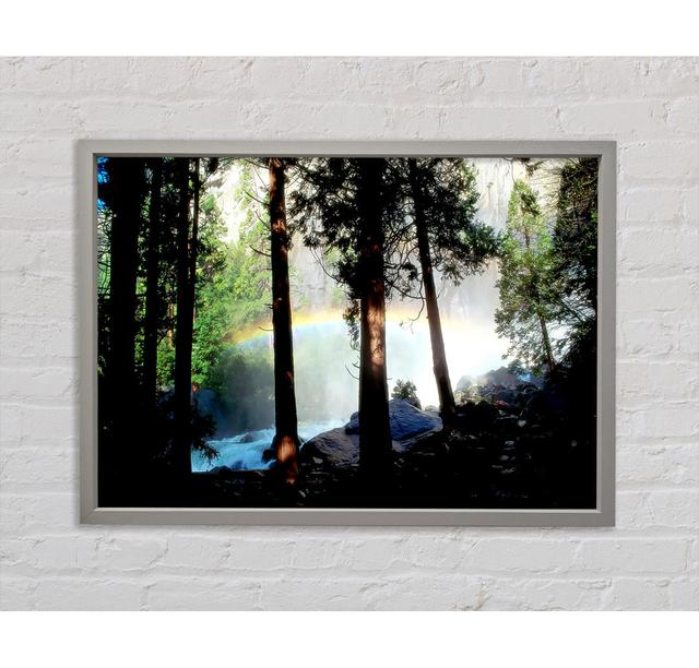 Rainbow In The Woodland Framed Print Alpen Home Size: 84.1cm H x 118.9cm W x 3.3cm D on Productcaster.