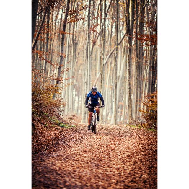 Wald im Herbst Alpen Home Größe: 60 cm H x 40 cm B on Productcaster.