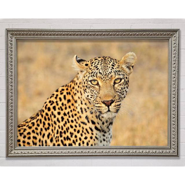 Stunning Leopard Framed Print Ebern Designs Size: 21cm H x 29.7cm W on Productcaster.