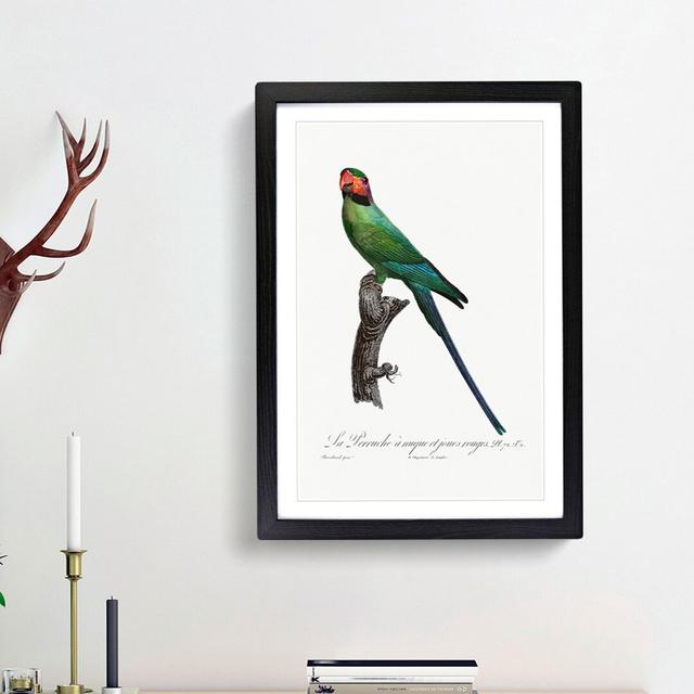 Blossom-Headed Parakeet by F. Levaillant - Picture Frame Graphic Art Print East Urban Home Size: 48cm H x 36cm W x 2cm D, Frame Option: Black Framed on Productcaster.