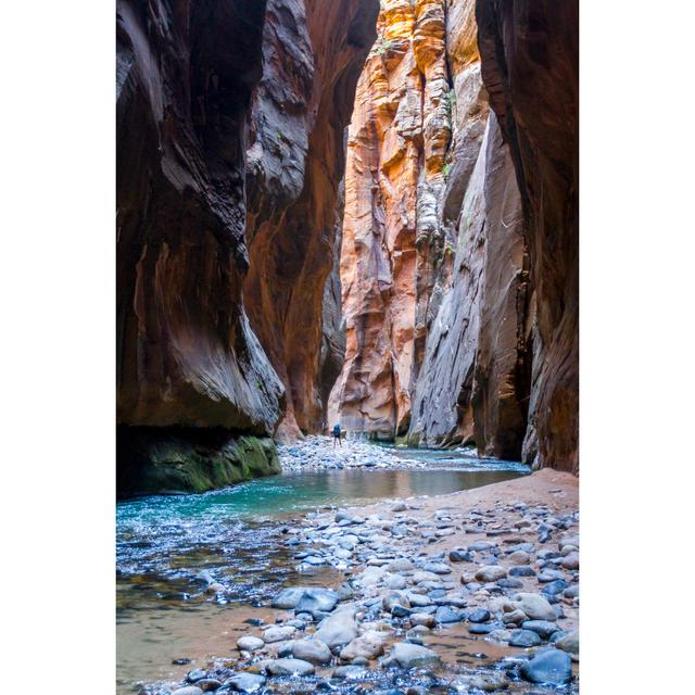 Hiker in the Narrows by Andrew Opila - Wrapped Canvas Photograph 17 Stories Size: 30cm H x 20cm W on Productcaster.