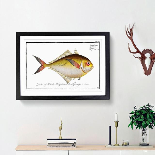 Green Mackerel Fish by M.E. Bloch - Picture Frame Painting Print East Urban Home Size: 48cm H x 65cm W x 2cm D, Frame Option: Black Framed on Productcaster.