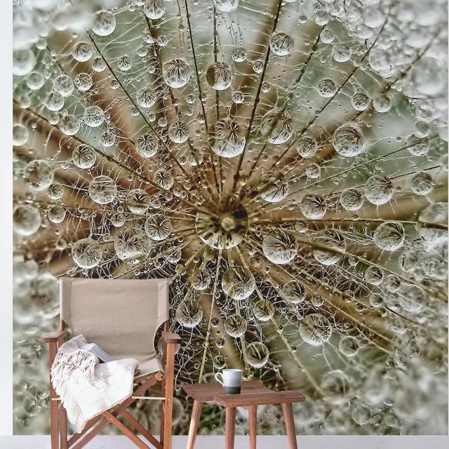 Dandelion Flower in Autumn Semi-Gloss Wallpaper Roll East Urban Home Size: 2.88m x 288cm, Material quality: Standard (110g/m²) on Productcaster.