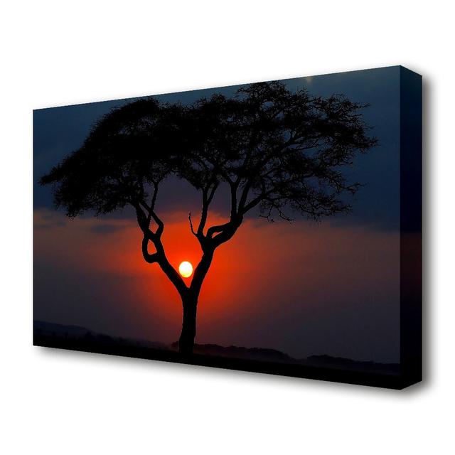 Beautiful Red Sunset between the Tree Seascape - Wrapped Canvas Photographic Print East Urban Home Size: 101.6 cm H x 142.2 cm W on Productcaster.