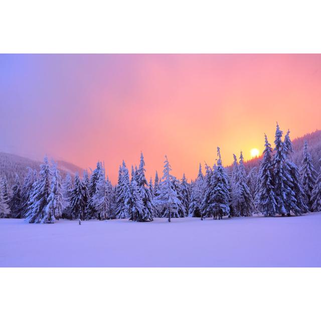 Sunrise Enlightens Sky Mountain and Trees Standing in Snowdrifts Covered by Frozen Snow with Yellow Shine Winter Landscape For Leaflets - Wrapped Canv on Productcaster.