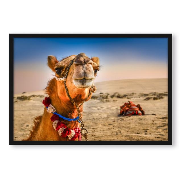 Gerahmtes Foto "Funny Camel in the Desert" Natur Pur Größe: 80 cm H x 60 cm B x 2.5 cm T on Productcaster.