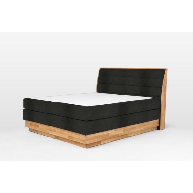 Boxspringbett Marissa BXB 4 COTTA Größe: 204 x 216 cm, Farbe: Schwarz on Productcaster.