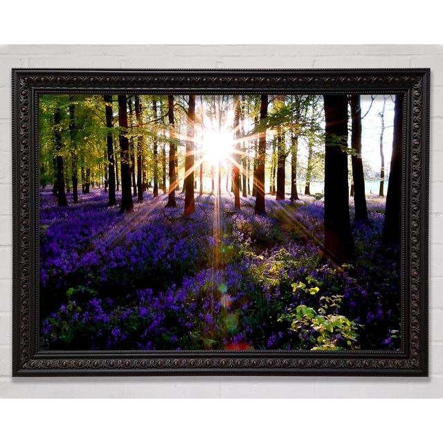 Forest Sun God Framed Print Bright Star Size: 29.7cm H x 42cm W x 3cm D on Productcaster.