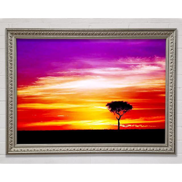 Lonsome Tree Framed Print Bright Star Size: 42cm H x 59.7cm W on Productcaster.