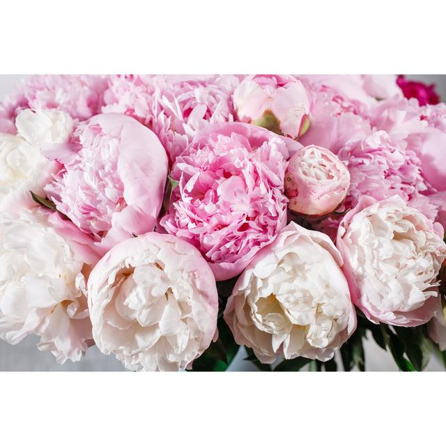 Hurdsfield Blooming Peonies Flowers - Wrapped Canvas Photograph Latitude Run Size: 51cm H x 76cm W x 3.8cm D on Productcaster.