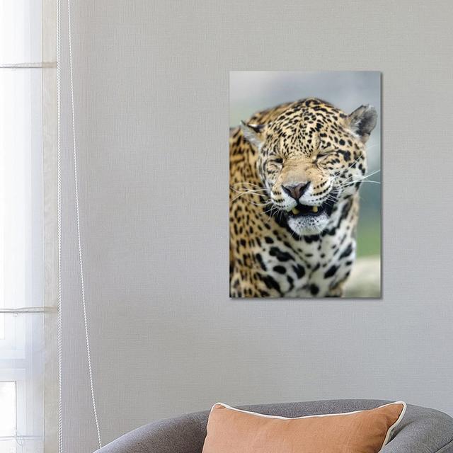 Smiling Jaguar by Goran Anastasovski - Wrapped Canvas Graphic Art Latitude Run Size: 66.04cm H x 45.72cm W x 3.81cm D on Productcaster.