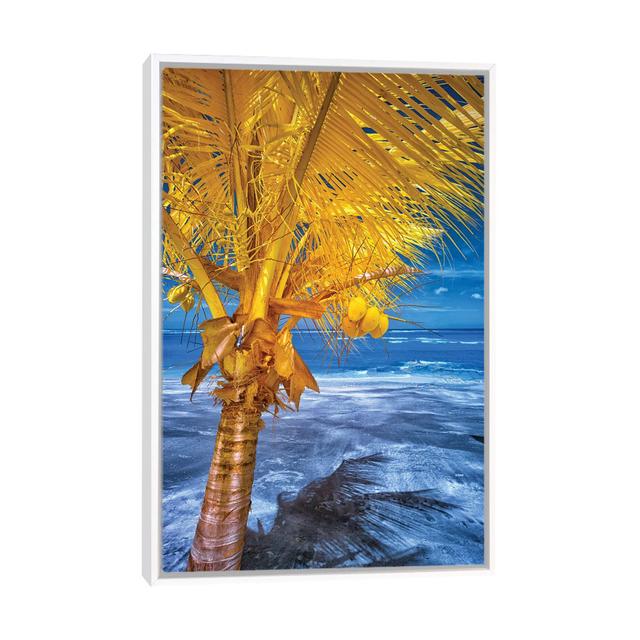 The Lizard On Tropical Palm Tree #1 by Glauco Meneghelli - Floater Frame Print on Canvas 17 Stories Size: 66.04cm H x 45.72cm W x 3.81cm D, Format: Wh on Productcaster.