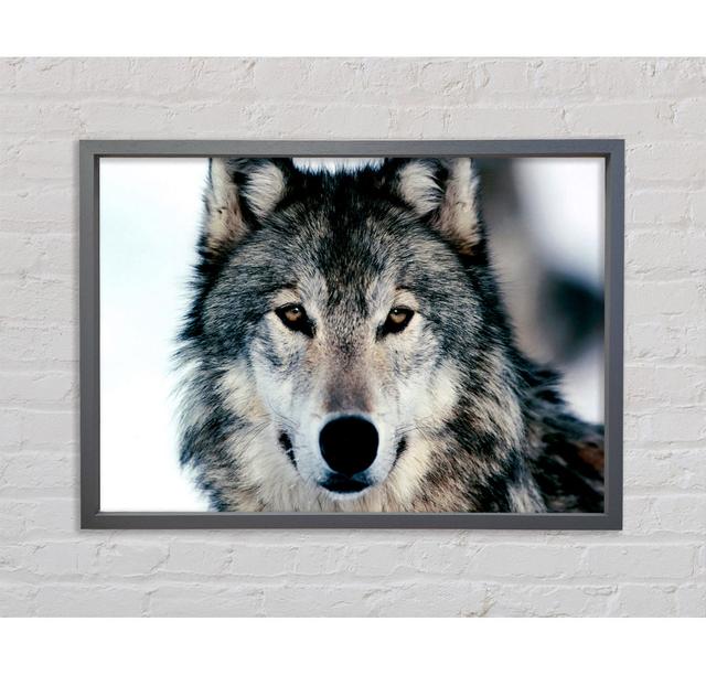 Wolf Face - Single Picture Frame Art Prints on Canvas Union Rustic Size: 59.7cm H x 84.1cm W 3.3cm D on Productcaster.