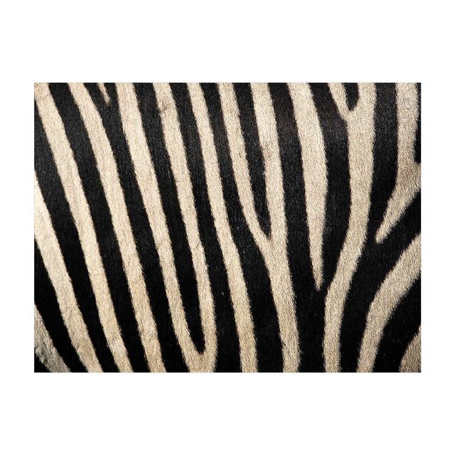 Ingvar Animal Print Black/Brown Indoor/Outdoor Rug East Urban Home Rug Size: Rectangle 75 x 100cm on Productcaster.