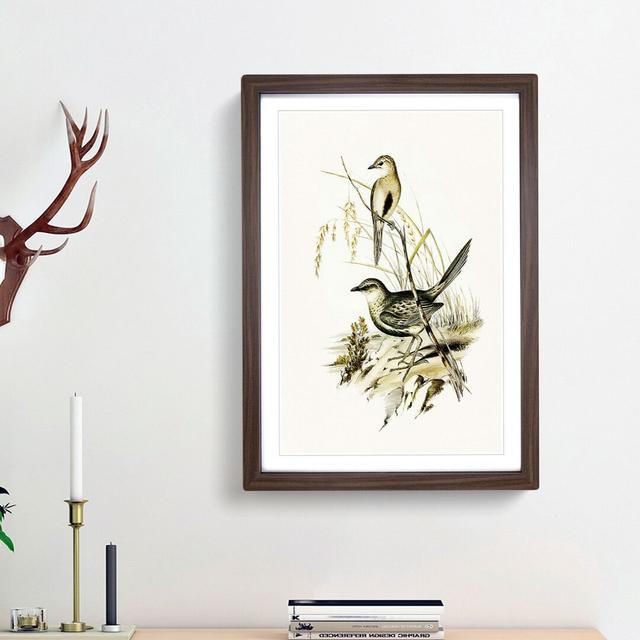 Brown Songlarks by Elizabeth Gould - Picture Frame Painting Print East Urban Home Frame Option: Walnut Framed, Size: 36cm H x 27cm W x 2cm D on Productcaster.