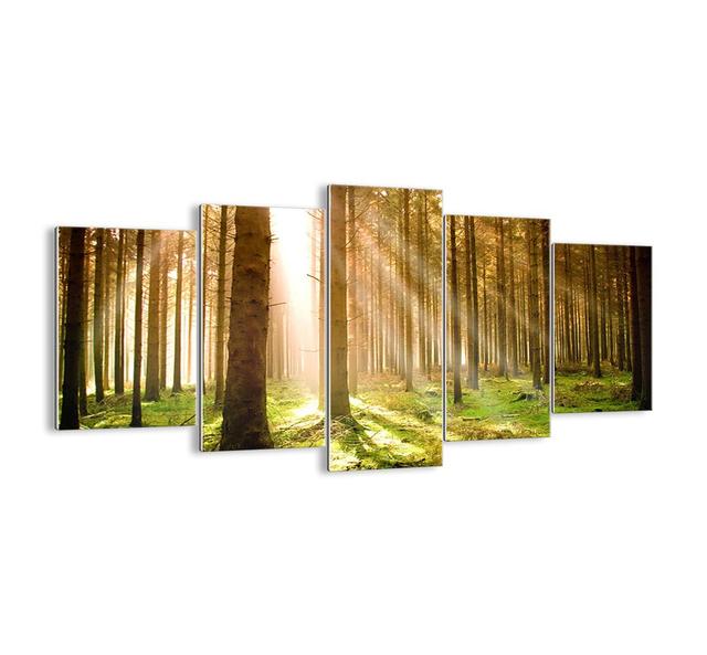 5 Piece Graphic Art Print Set on Glass Alpen Home Size: 85cm H x 160cm W x 1.8cm D on Productcaster.