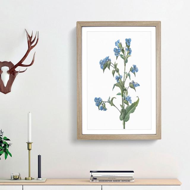 Blue Dayflowers by Pierre-Joseph Redoute - Picture Frame Art Print East Urban Home Frame Option: Oak Framed, Size: 65cm H x 48cm W x 2cm D on Productcaster.