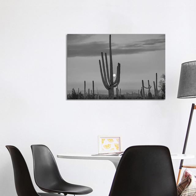 Saguaro Cacti And Moon, Saguaro National Park, Arizona - Wrapped Canvas Print Natur Pur Size: 66.04cm H x 101.6cm W x 3.81cm D on Productcaster.