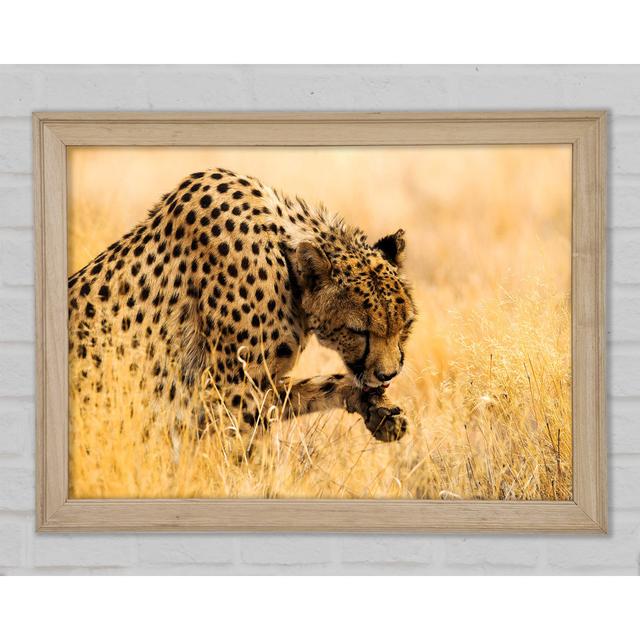 Cheetah Wash - Print Ebern Designs Size: 84.1cm H x 118.9cm W x 1.5cm D on Productcaster.