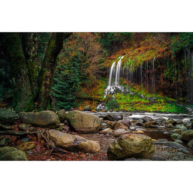 Klagetoh Mossbrae Falls, California by Bartfett - Wrapped Canvas Print Alpen Home Size: 20cm H x 30cm W x 3.8cm D on Productcaster.