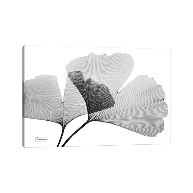 Ginko by Albert Koetsier - Wrapped Canvas Gallery-Wrapped Canvas Giclée Rosalind Wheeler Size: 26cm H x 40cm W x 1.9cm D, Frame Colour: Grey on Productcaster.