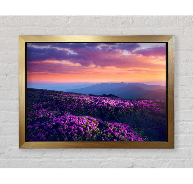 Purple Meadow Mountains - Print Bright Star Size: 84.1cm H x 118.9cm W on Productcaster.