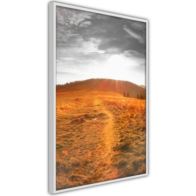 Prairie - Single Picture Frame Print Alpen Home Frame Option: Black Framed, Size: 45cm H x 30cm W x 2cm D on Productcaster.