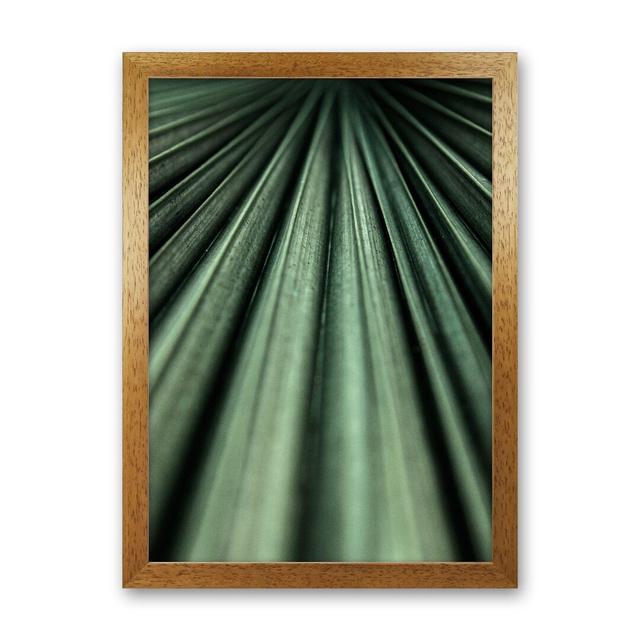 Green Palm Leaf by Victoria Frost - Print 17 Stories Format: Oak Framed, Size: 63cm H x 46cm W x 3cm D on Productcaster.