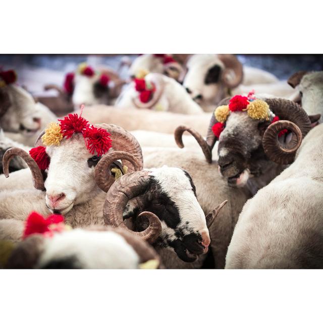 Sheeps - Wrapped Canvas Print Brambly Cottage Size: 51cm H x 76cm W x 3.8cm D on Productcaster.