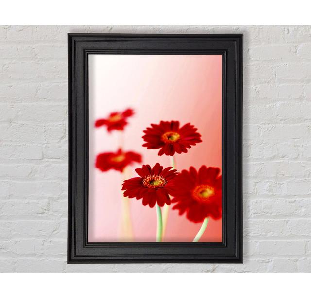 Red Gerberas On Pink Framed Print Brayden Studio Size: 59.7cm H x 42cm W on Productcaster.