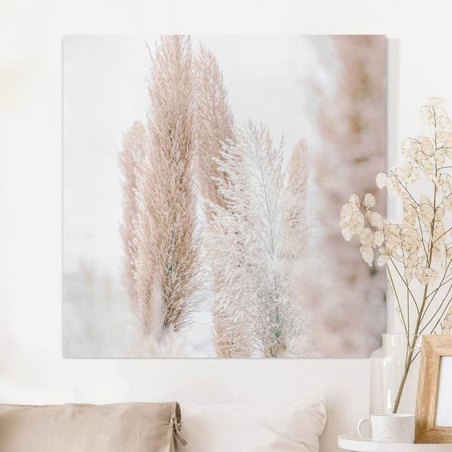 Pampas Grass in White Light - Wrapped Canvas Graphic Art Ebern Designs Size: 80cm H x 80cm W on Productcaster.