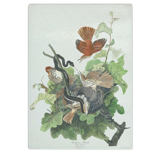 Tempered Glass Snake Attacking Thrush Birds by John James Audubon Chopping Board East Urban Home Size: 28.5 cm W x 20 cm L on Productcaster.