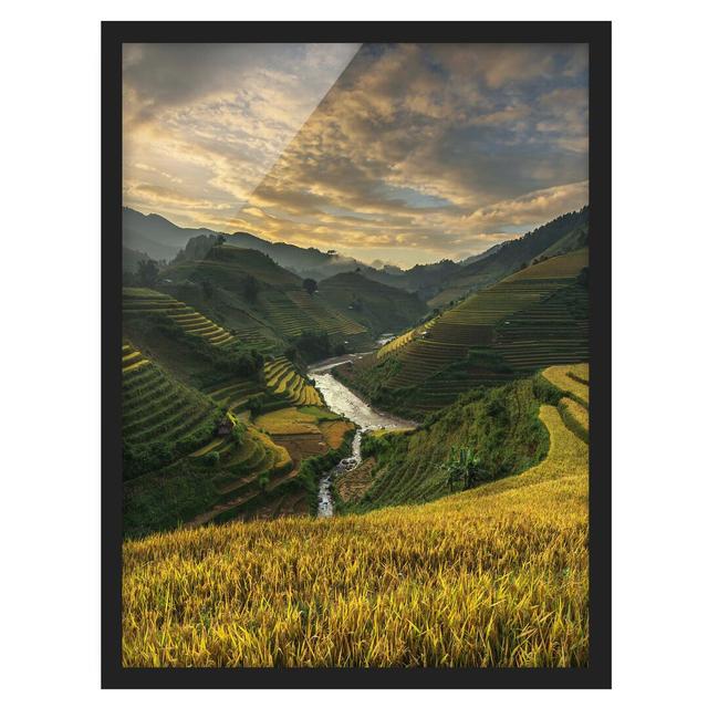 Rice Plantations in Vietnam - Picture Frame Graphic Art Alpen Home Size: 40cm H x 30cm W x 2cm D, Frame Option: Black Framed on Productcaster.