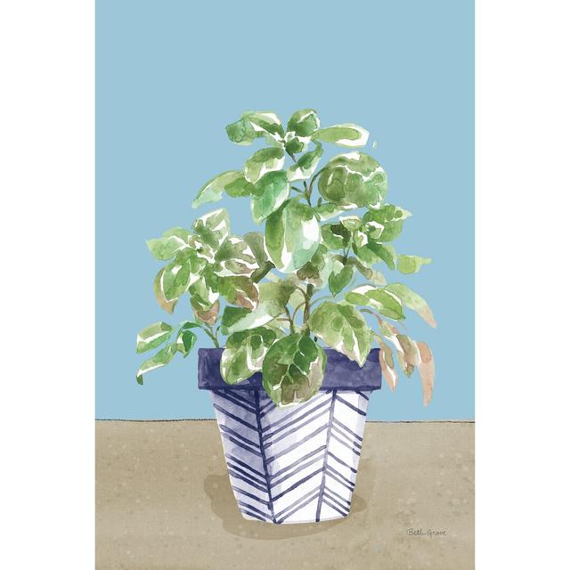 Herb Garden II White Navy by Beth Grove - Wrapped Canvas Painting Rosalind Wheeler Size: 46cm H x 30cm W on Productcaster.