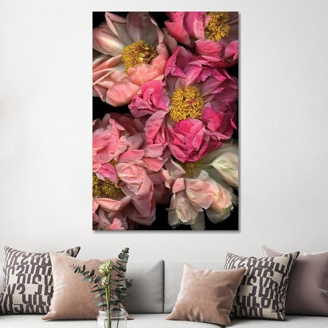 Pressed And Pretty by Honeymoon Hotel - Wrapped Canvas Print ClassicLiving Size: 152.4cm H x 101.6cm W x 3.8cm D on Productcaster.