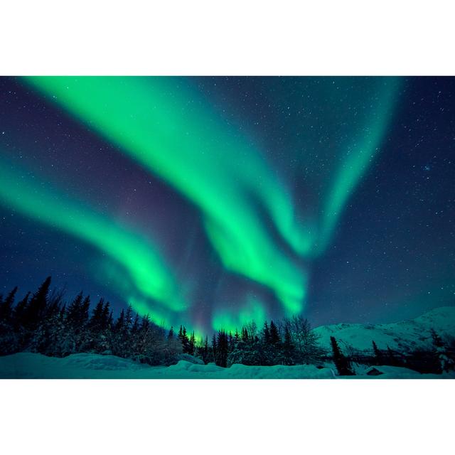 Green Aurora Borealis - Wrapped Canvas Print 17 Stories Size: 51cm H x 76cm W x 3.8cm D on Productcaster.