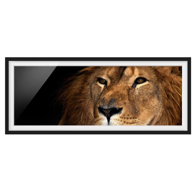 Lion View - Picture Frame Graphic Art Ebern Designs Size: 30cm H x 75cm W x 2cm D, Frame Option: Black Framed on Productcaster.