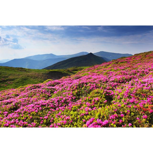 Flowers - Wrapped Canvas Print Alpen Home Size: 30cm H x 46cm W x 3.8cm D on Productcaster.