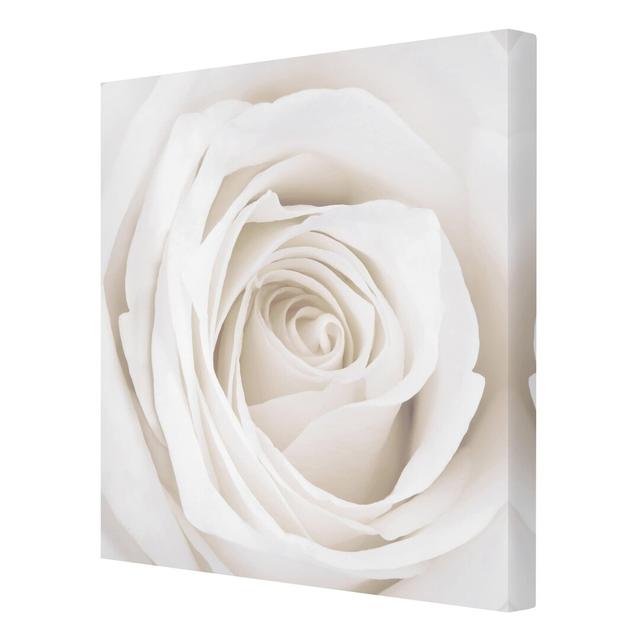 Pretty White Rose Photographic Print on Canvas East Urban Home Size: 120cm L x 120cm W on Productcaster.