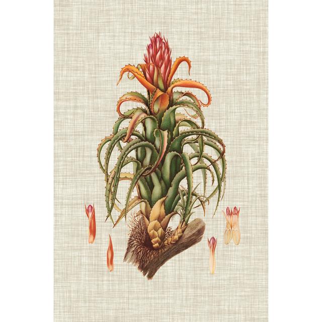 Elegant Tropicals IV Pergo Classics Size: 46cm H x 30cm W x 3.8cm D on Productcaster.